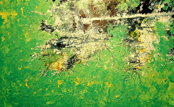 summer forest.JPG