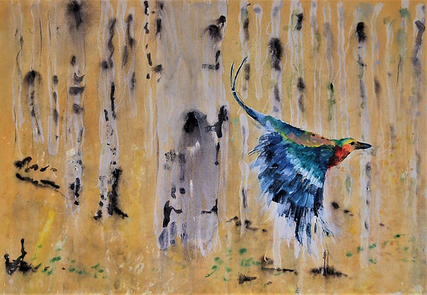 taking flight thru aspens.JPG