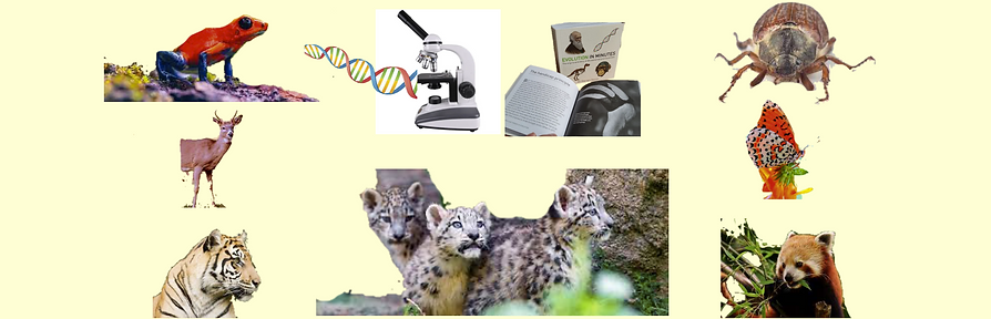 Screenshot 2566-02-09 at 15.15.55.png