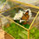 Thumbnail: Glass House
