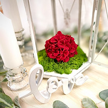 Red flower on a green moss with the word "love" in front.