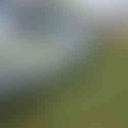 Jet washing cleaning logo on the van