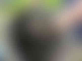 How much has being removed for the guttering