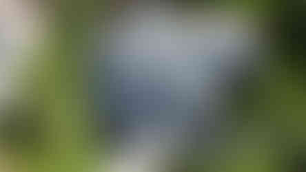 Drone picture of the transformation