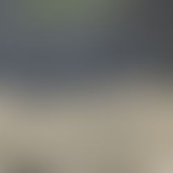 Transforming a Green Biofilm and Lichen-Infested Patio: The Astonishing Results of Professional Cleaning