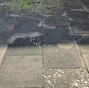 Transforming a Green Biofilm and Lichen-Infested Patio: The Astonishing Results of Professional Cleaning