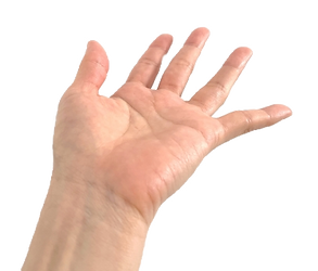 23212600_s_edited.png