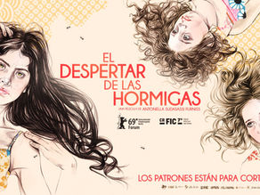 EL DESPERTAR DE LAS HORMIGAS – El despertar de las hormigas presenta exposición con 20 mujeres