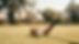 image0 (1).png