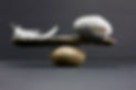 iStock-118951659.jpg