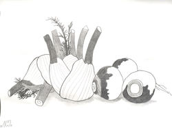 ACJ - Fenouil & Navets