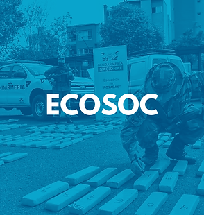 ECOSOC.png