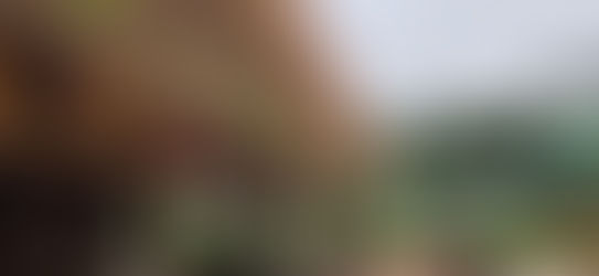 Annapoorna Nursery's YouTube Channel