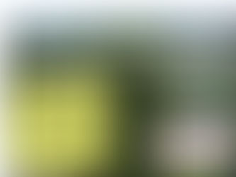 A découvrir prochainement 