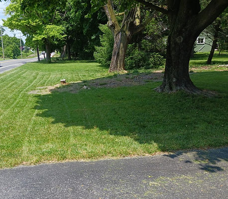 lawn care & mowing (2).jpg