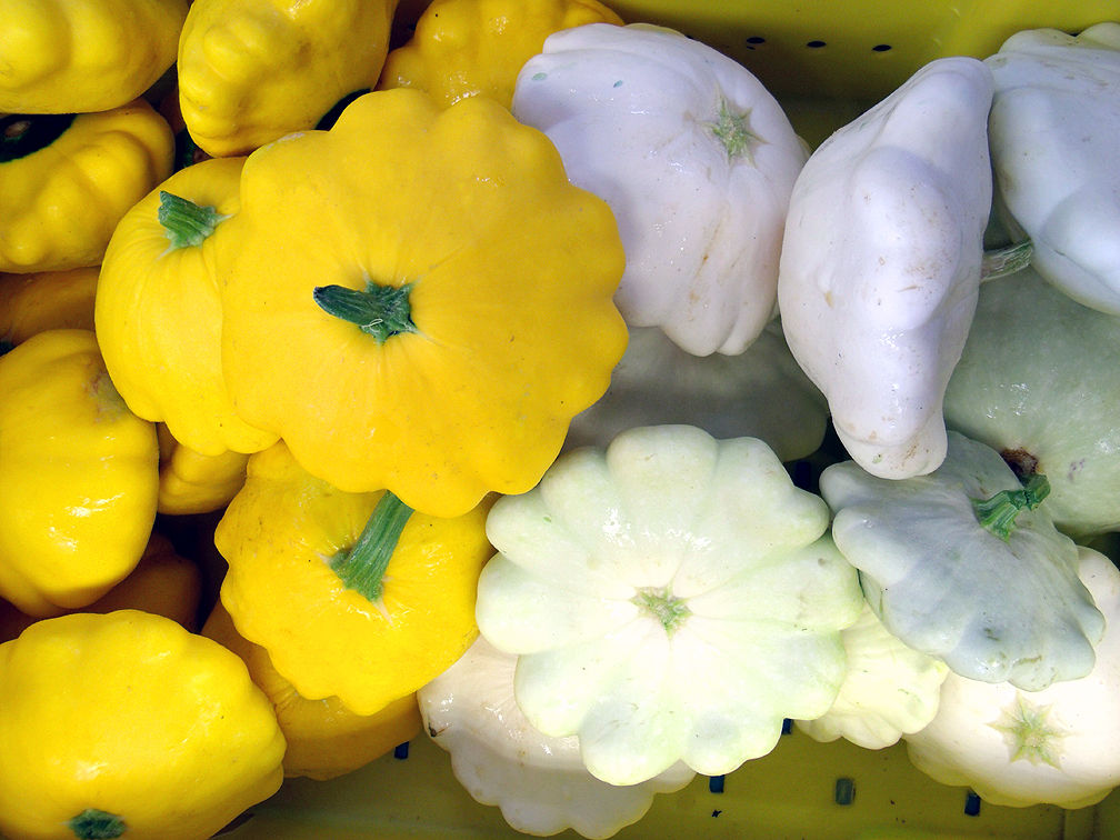 Patty Pan Squash