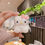 الصورة المصغرة: Hello Kitty Airpods Case