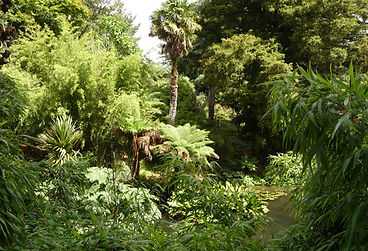 holiday cottage in st ives