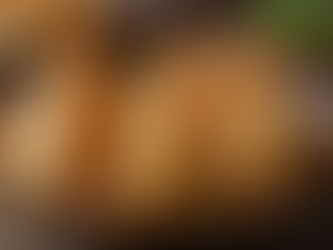 A Culinary Journey through Indian Appetizers: Samosas, Pakoras, and Beyond