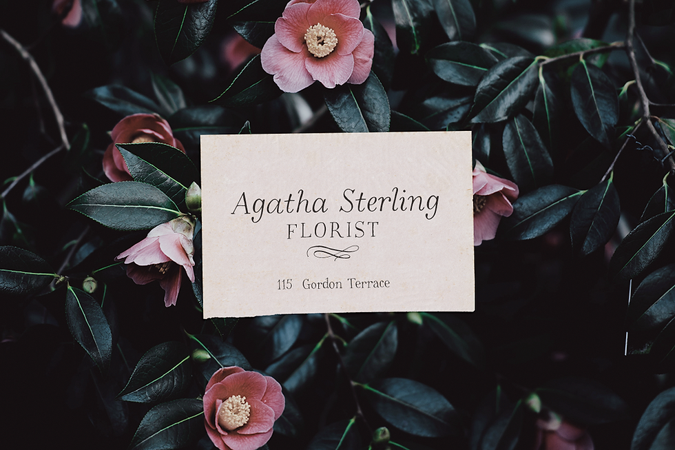 Thumbnail: High Hopes handmade serif font