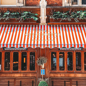 Cicchetti London