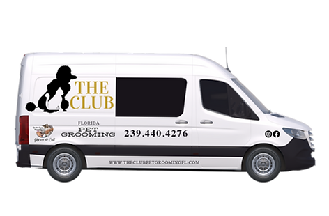 van-dog mobil pet grooming naples
