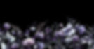 Back_edited.jpg