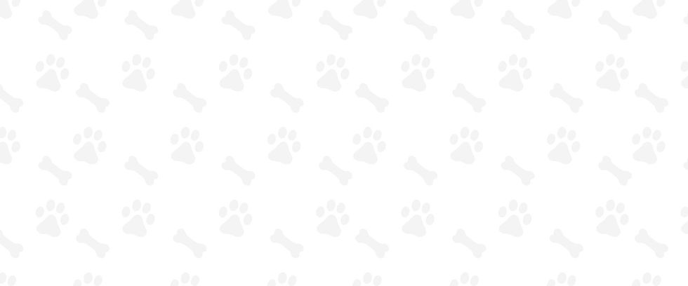 the-club-pet-grooming-florida-banner.jpg