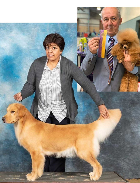 the-club-pet-grooming-florida
