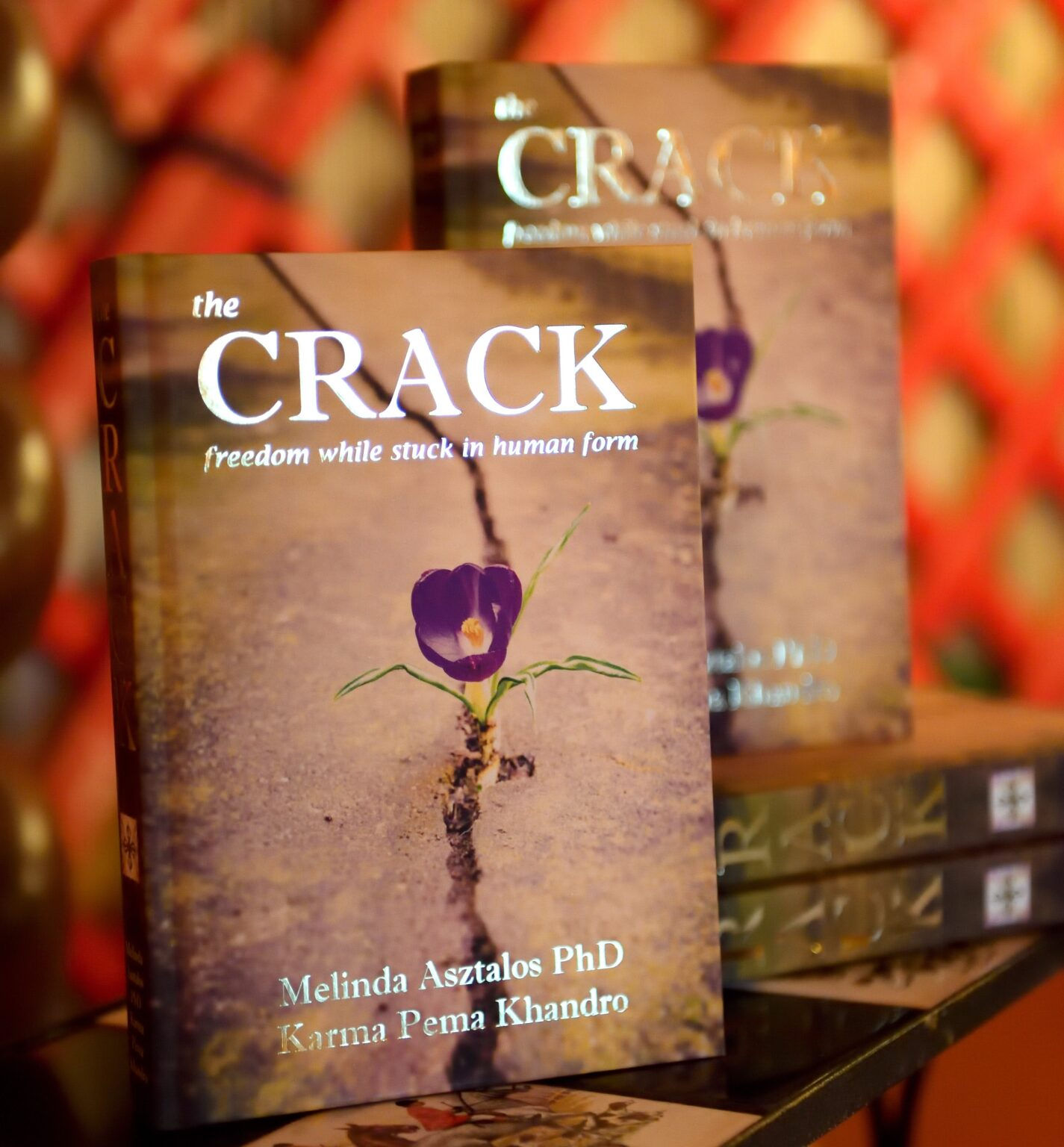 The Crack - Freedom while stuck in human form