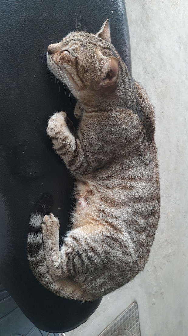 IMG-20191207-WA0006.jpeg