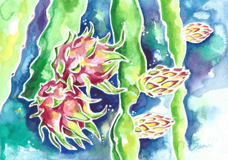 dragon-fruit.jpg