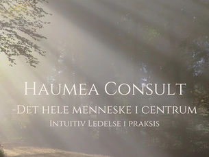 Intuitiv Ledelse