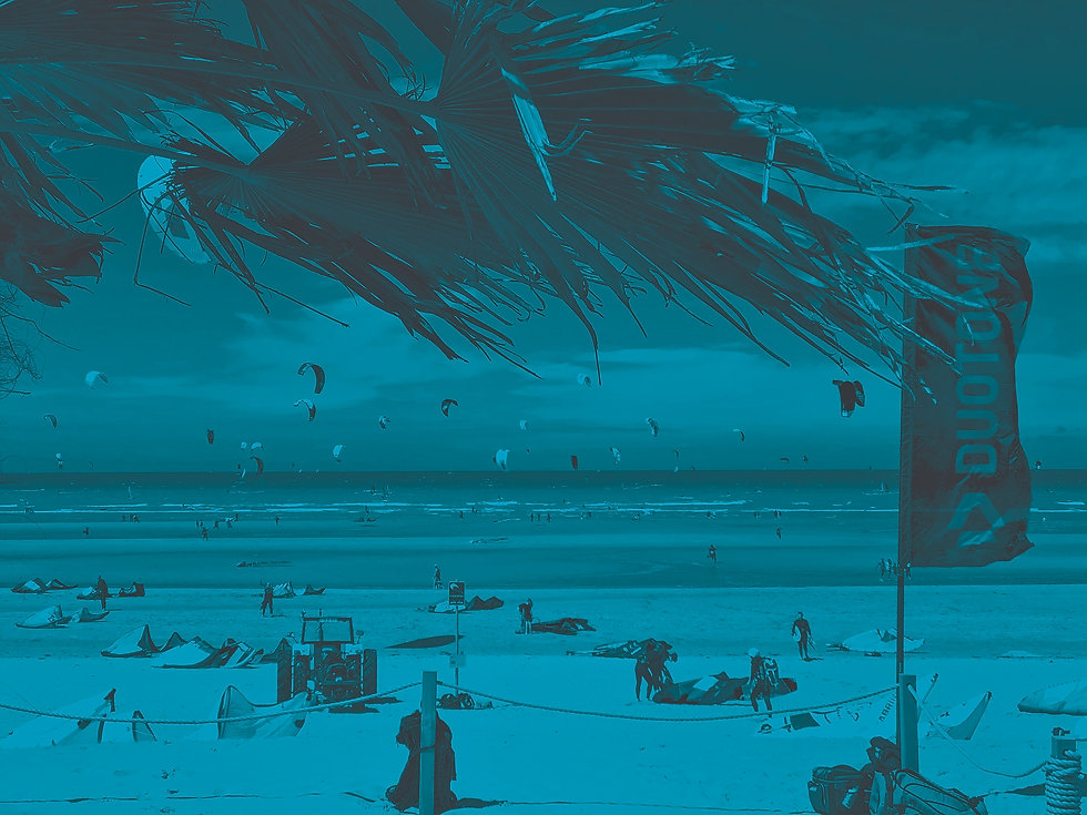 duotone WDK.jpeg