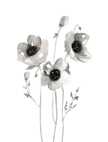 Trauer_Blumen_transparenz_edited.png