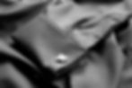 DSC02816.jpg