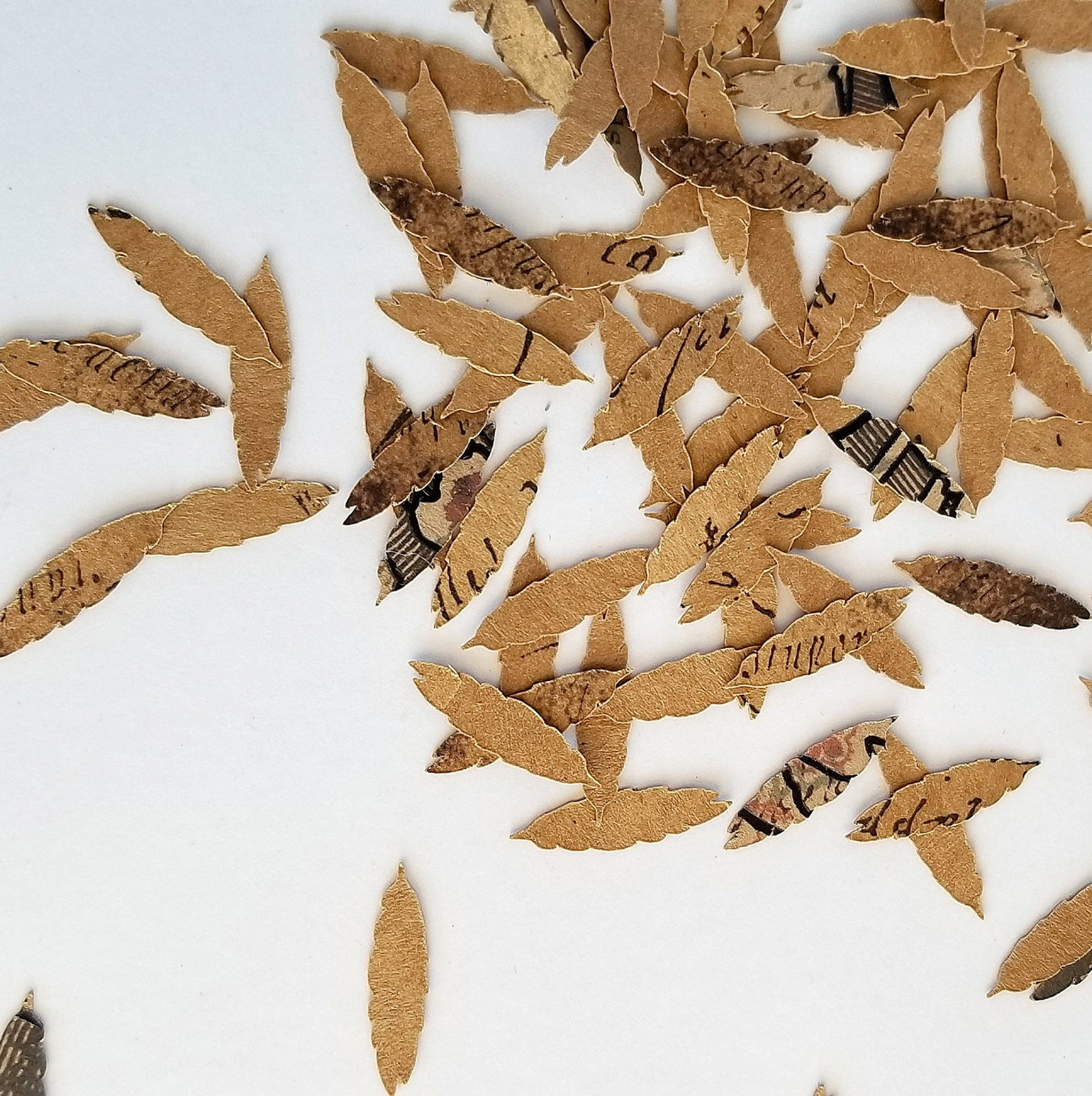 Feather Confetti Printed Craft Paper Vintage Inspired 100pcs