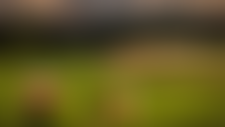 WRC Preview: Rally Poland