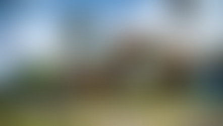 WRC Rally Finland: Preview