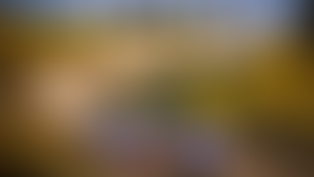 WRC Preview: Rally Portugal