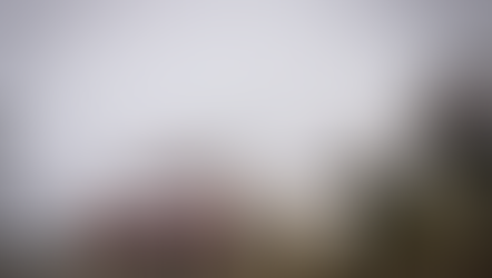 WRC Rally Chile Preview