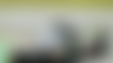 From Buemi to de Vries, who are the Formula E drivers racing at Le Mans this weekend?