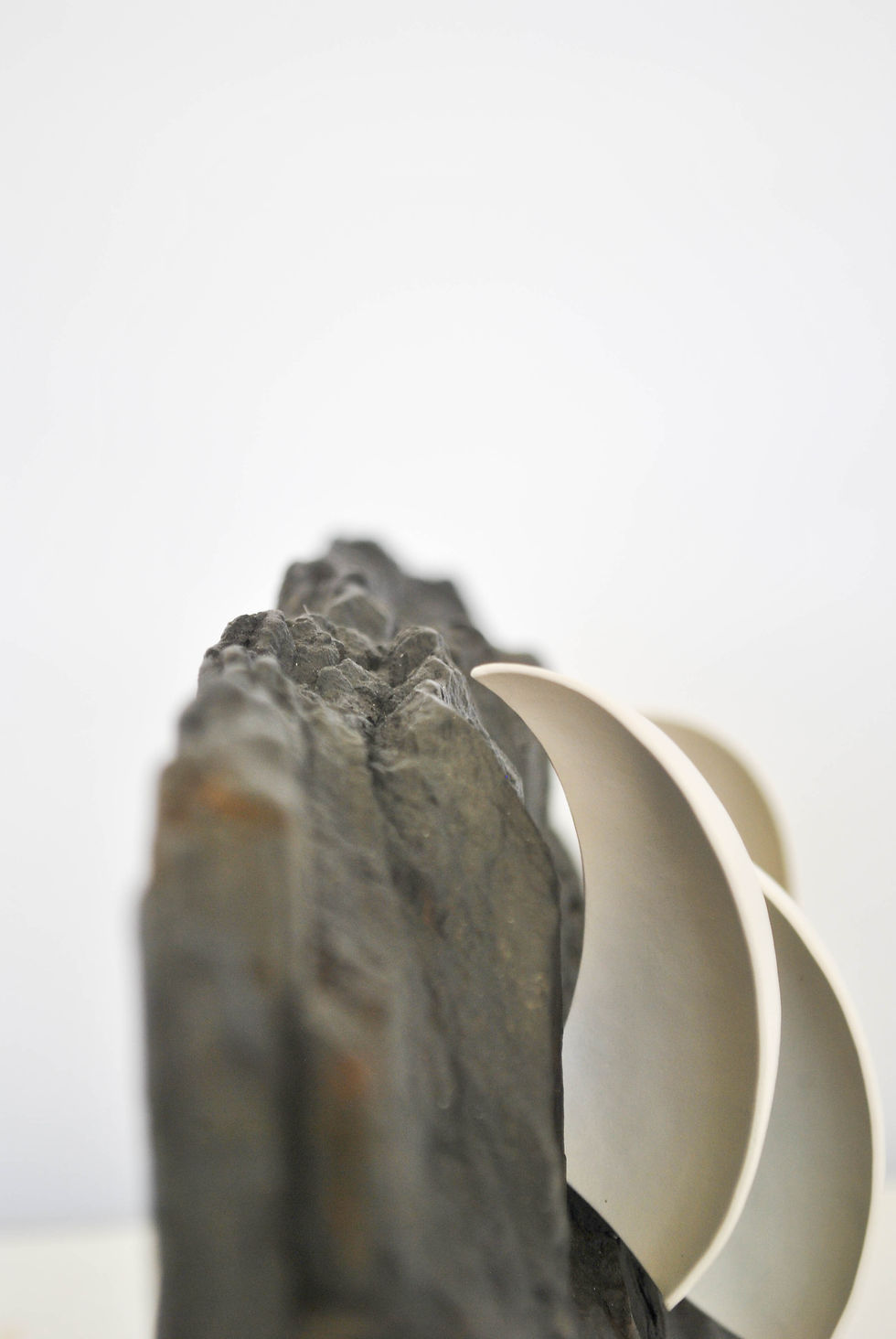 Thumbnail: me|ard.3s|czbr