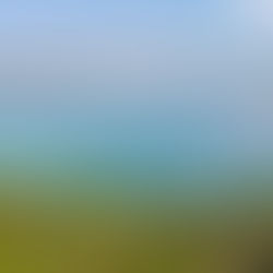 ✨ Rock and Sea Watamu Luxury Lodge – Your Sanctuary of Nature, Luxury & Freedom ✨