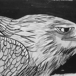 And ink painting of the profile of a red-tailed hawk. 