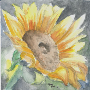 Sunflower, sunflower painting, painting of sunflower, watercolor painting, watercolor sunflower