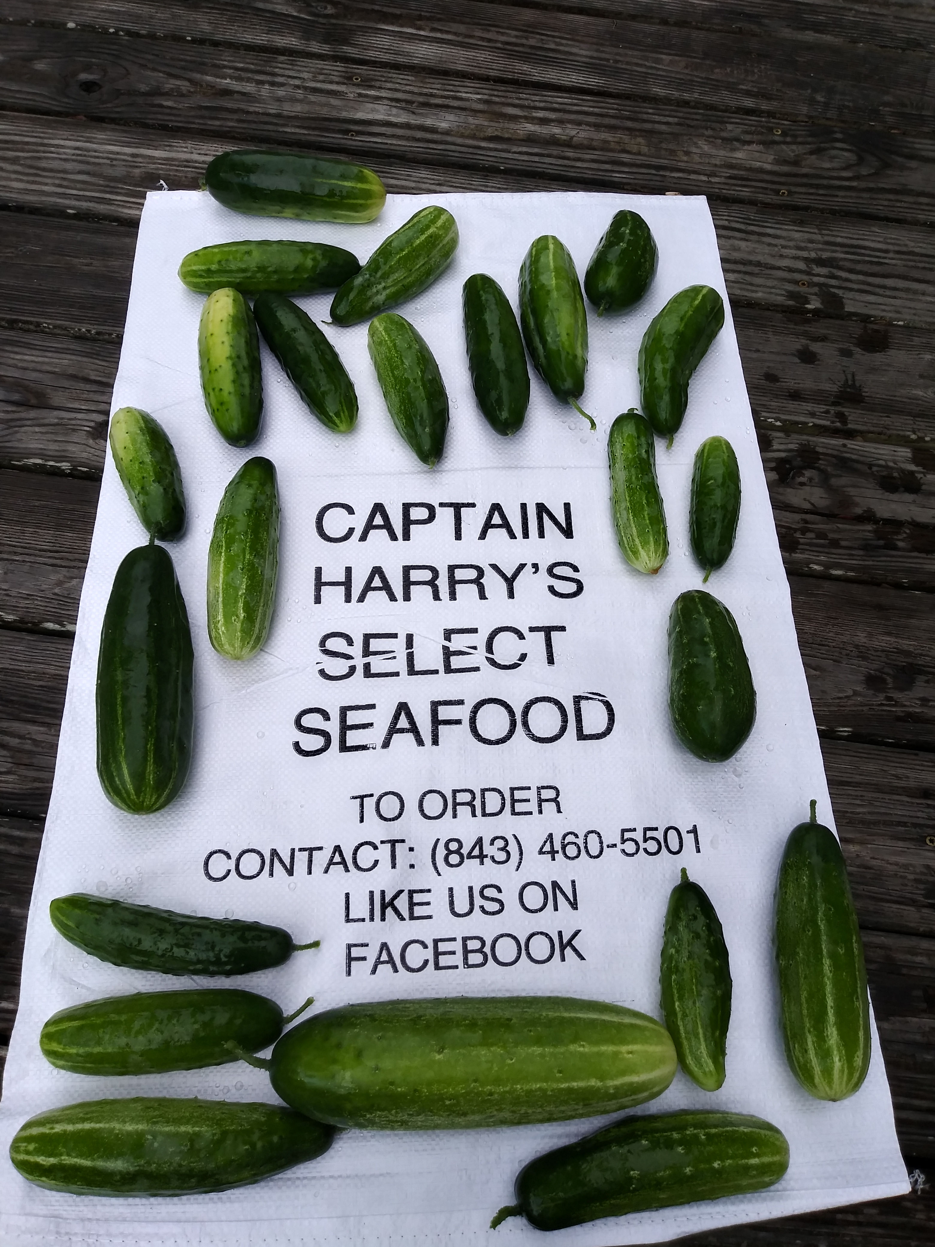 1 Organic Cucumber