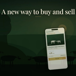 A new way to buy and sell: Introducing timed auctions.