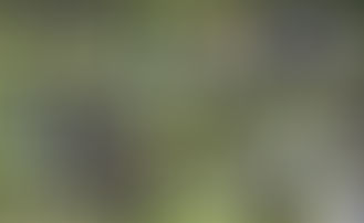 What A Lot Of Non Golfers Say