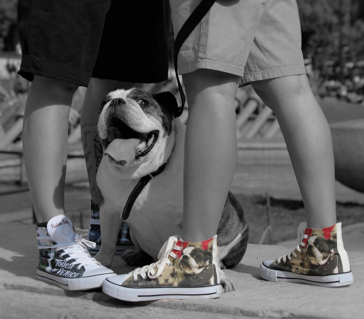 Photo du rédacteur: fashionbulldog